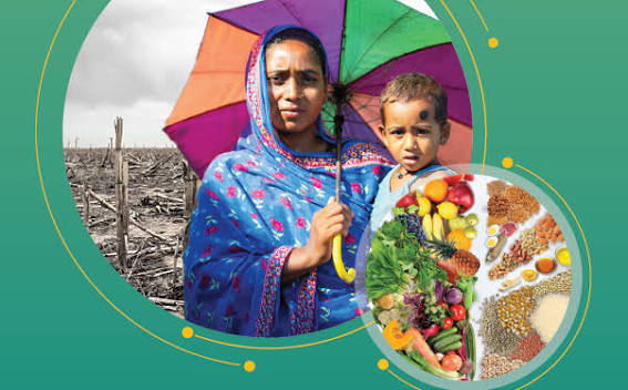 Climate change and Food Safety