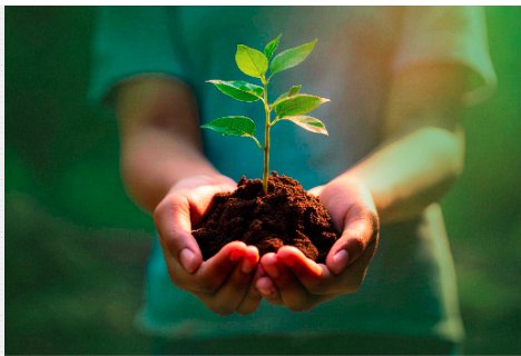 Environment and Sustainability